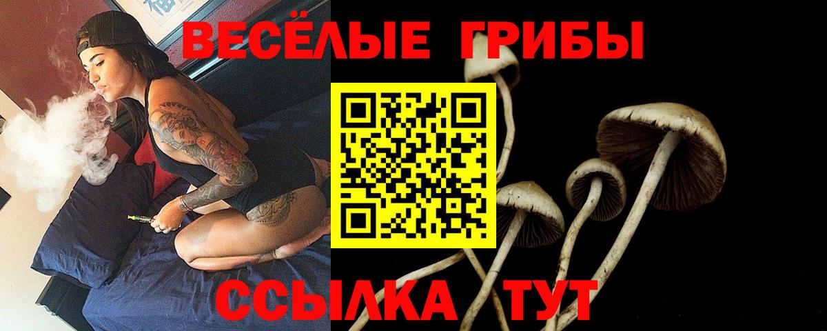 Ливны  Галлюциногенные грибы прущие грибы  Вход с VPN  Галлюциногенные грибы MAGIC MUSHROOMS 